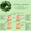 Salvia Acne Treatment Cream Removal Face Blackhead Anti Acne Cream Oil Control Shrink Pores