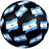 Argentina National Football Team Theme Soccer Ball Size 5 Soccer Ball Soft Touch Professional Training Football for Outdoor Sports