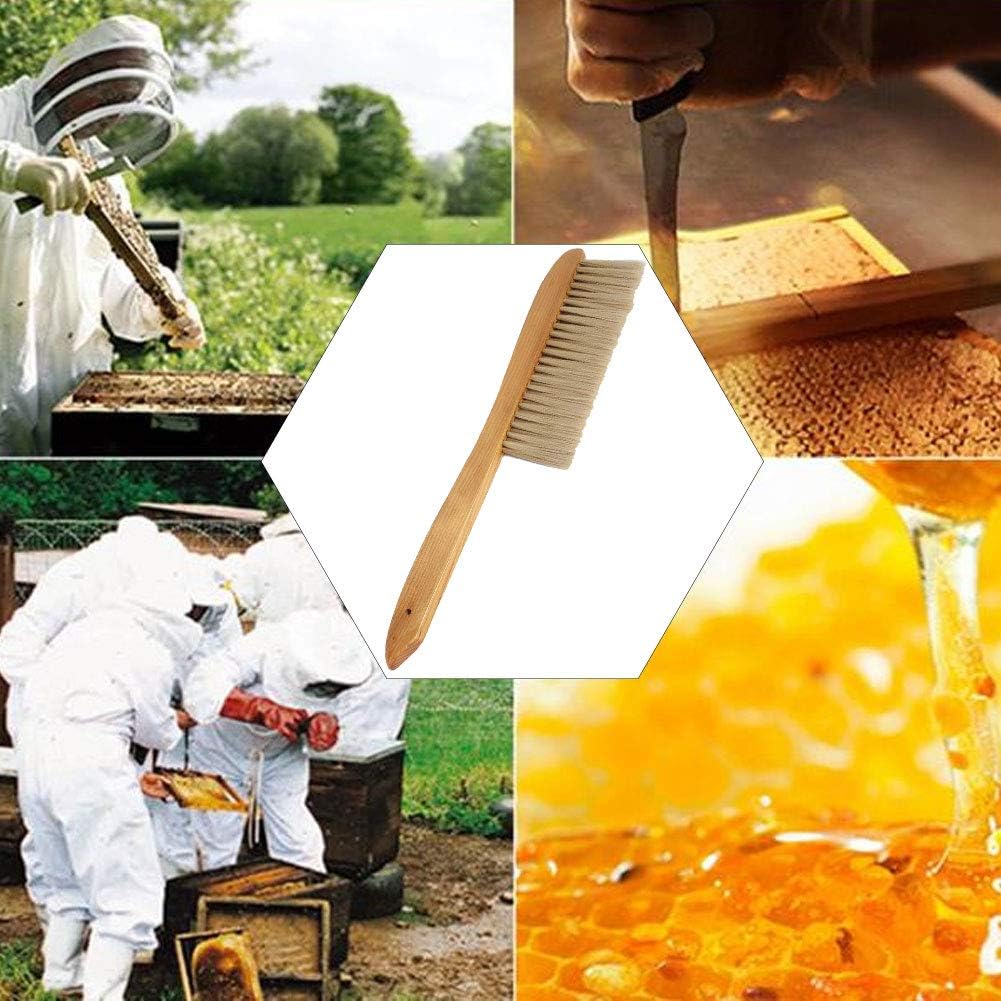 Double Row Beekeeping Brush, Versatile Long Handle Honey Brush Beehive Sweeping Cleaning Tool Equipment for Beekeeping and Bee Keeper