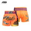 MMA Boksen Muay Thai Kickboksen Training Vechtshorts Mannen Vrouwen Volwassenen Lichtgewicht Atletisch Sportschool Vechtsport