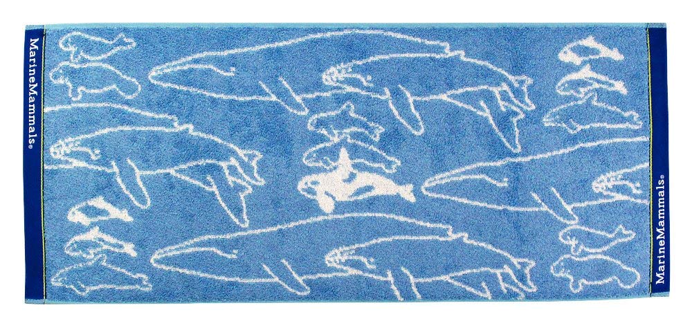 

Кэролата Морское млекопитающее Лицевое полотенце 80 x 34 см Синее Имабари Сделано в Абсорбирующее Ручное полотенце Хлопок Жаккард Идеальный подарок (приблизительно. / / Полотенце) Дельфин/Кит синий