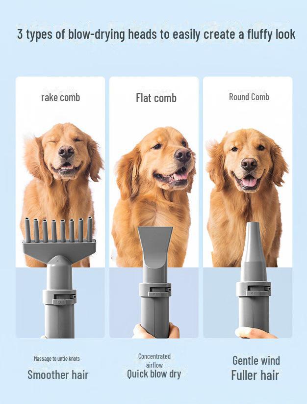 "High-Power Quick-Drying Pet Hair Dryer for Large Dogs"
