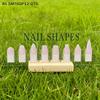 Acrylnagel Formen Display Board Mit Holzsockel Mannequin Fingerspitzen Und Nagelform Anleitung Statische Kunstwerk Schild Für Salon Dekoration