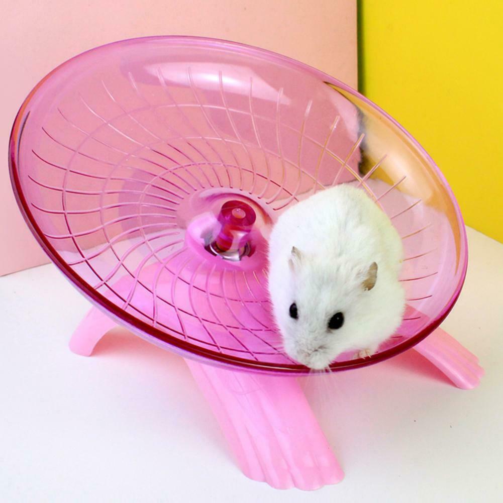 exercise saucer for hamsters