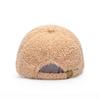 Embroidery R Letter Lamb Wool Baseball Cap Women's Autumn and Winter Casual Cap