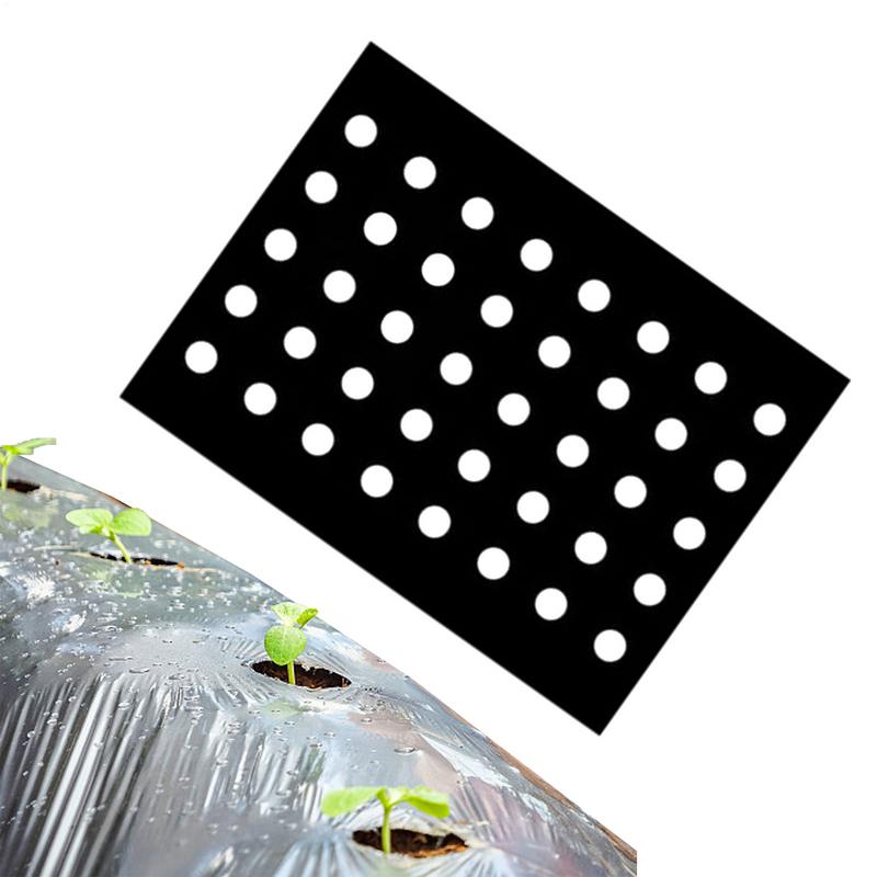 10M Folie PE Neagră Membrană Legume Grădină Semănare Agricolă Plastic Perforat Plante Mulcire 5 Găuri Lățime 95cm