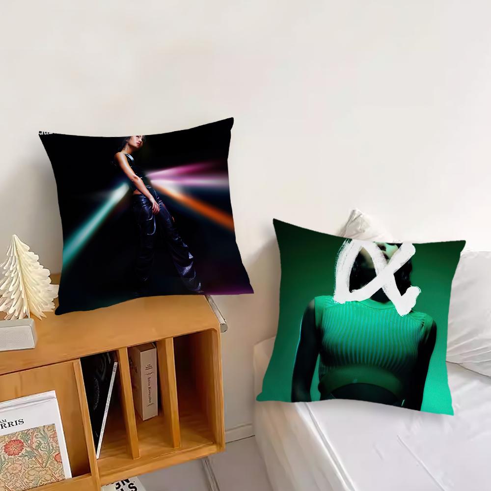 Singer A-Aitana Cushion Cover Living Room Accent Couch Back Support Square Lounge Restful Nap Companion Pillow Case