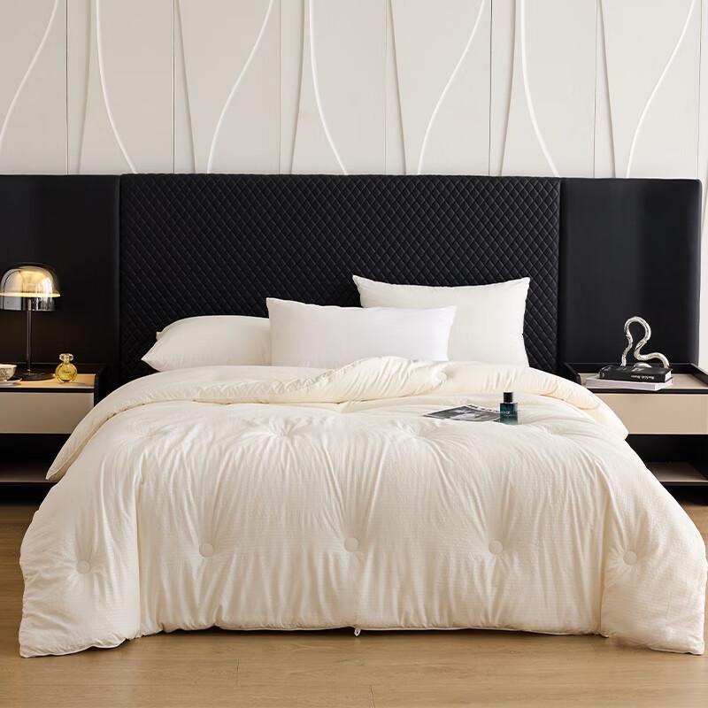 Southbedding All-Season Super Soft Fiber Quilt