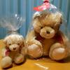 [USED] Teddy Bears, Plush Toys, Large and Small, Pair