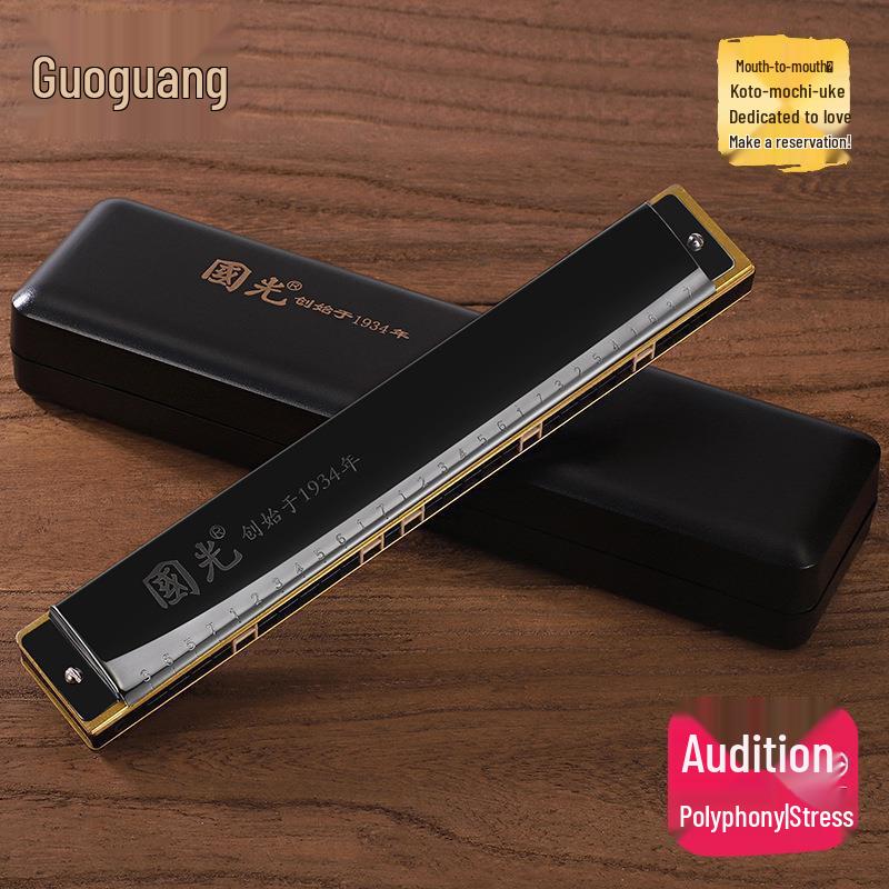 28-Hole Tremolo Professional Harmonica, 24-Hole Accent - Perfect for Adults, Beginners, and Students As an Introductory Musical Instrument