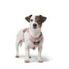 Dog Harness Hunter DIVO UP Pink L/XL
