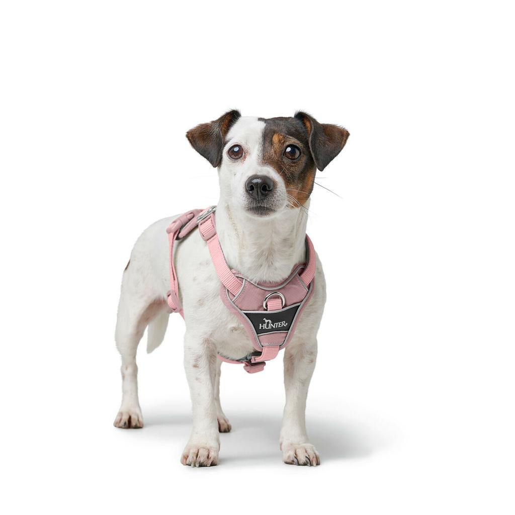 Dog Harness Hunter DIVO UP Pink L/XL