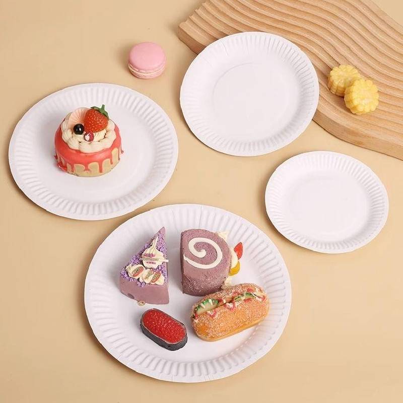 Disposable Paper Plate Set For Kid Diy Craft Art Activities With Round Shape For Classroom Use