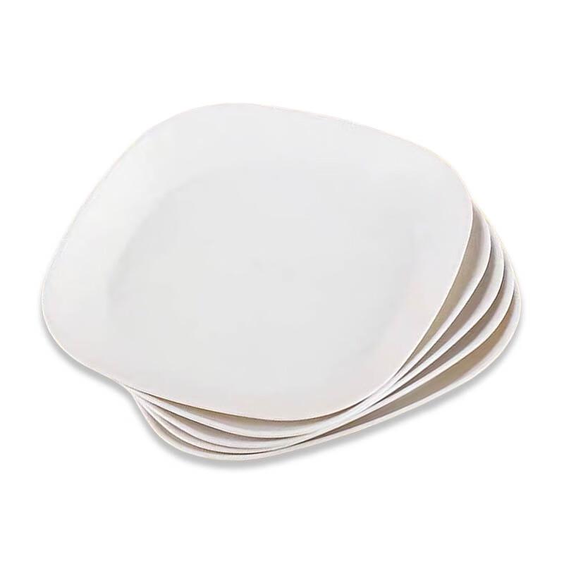 ZISIZ Rice Husk Disposable Square Plates