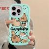Soft Phone Cover Case for iPhone 17 Air XR 13 16 Pro Max 15 Plus 8 11 14 12 Capybara Cute