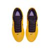 Nike LeBron Witness 9 EP HQ8035-700