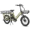 Fafrees FF20 CUV Electric Cargo Bike 250W with48V 12Ah Dual Batteries 20inch