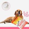Funny Dog Toys Crisps Plush Filled Pets Squeaky Chew Toy Bite-resistant Sounding Paper Toys For Small Medium Pets Supplies