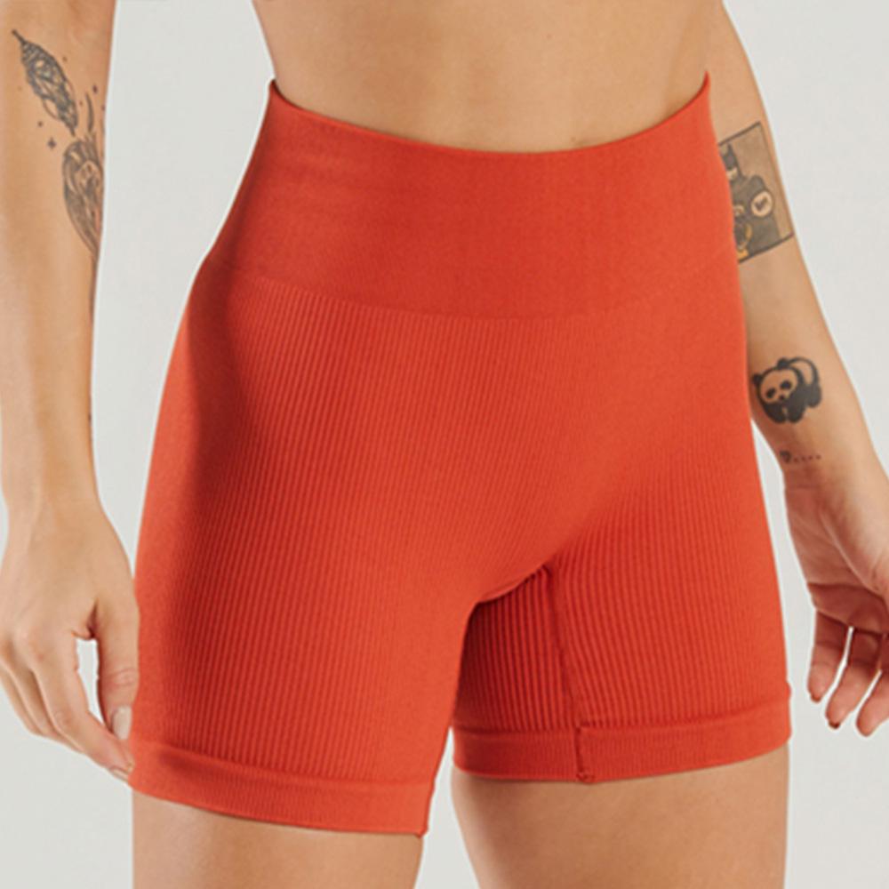 Nylon Seamless High Elastic Sports Set: U-Neck Top & Yoga Pants