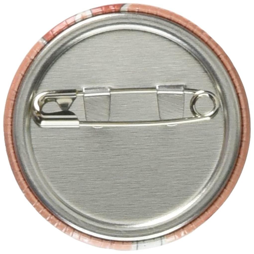 Minoda Pokemon Shining Safety Badge Hibany T01B1231