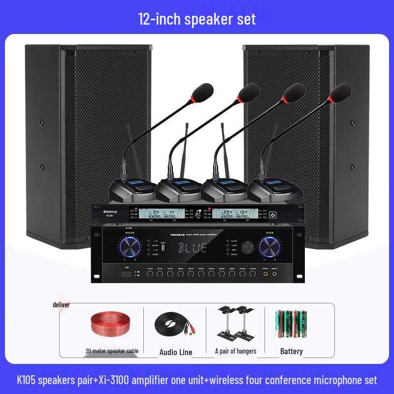QIASHENG Professional Conference Room & Stage Audio System CN plug (adapter included)