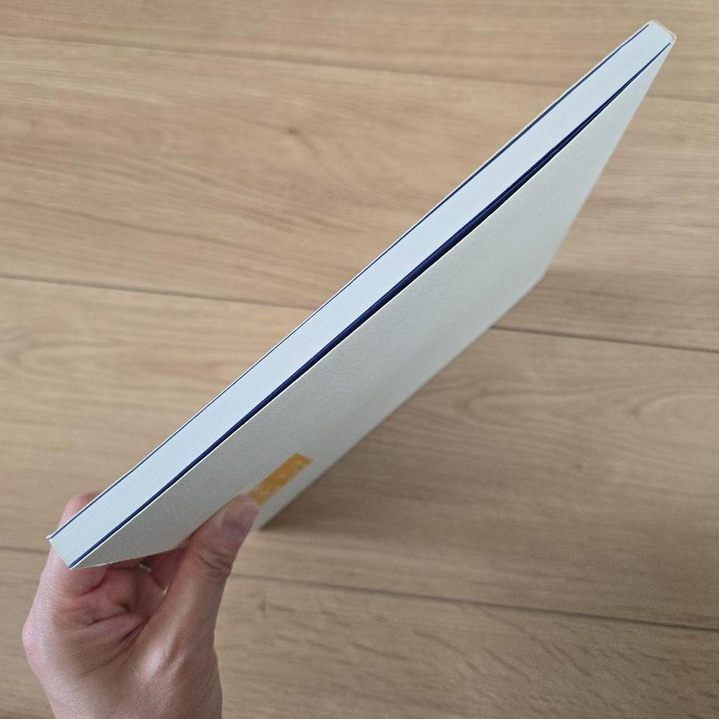 [USED] Kyoto Japanese Painting New Exhibition 3rd Art Book