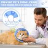 Haltbarkeit und Flexibilität Genesungskragen Speziell für Katzen angepasst Bietet Lang anhaltende Unterstützung Postoperativ