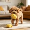 Giocattoli per Animali con Design Sonoro Integrato Morbido Peluche Giocattolo da Dentizione Massaggio Gengive e Pulizia Tartaro Giocattolo da Masticare per Cani Piccoli