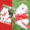 Sweet Dog Cat Pet Supplies Clothes Cat Leashes Bows Dog Chest and Shoulder Straps Dog Walkers