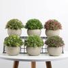 Simulation Green Plant Mini Pot Fake Plants Fake Flowers Bonsai Indoor Living Room Desktop Decoration Photo Props