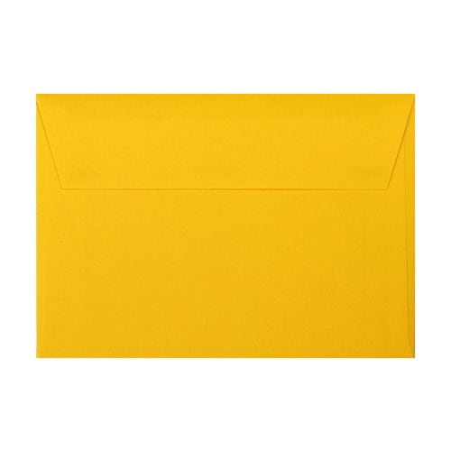 Sanrio Birthday Card Animals Around the Cake BD48-2 L 148 241997