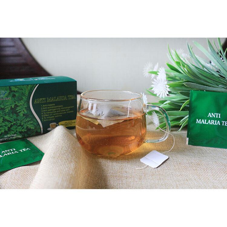 Anti-Malaria Tea Mitigates Asthma, Anti-Cacer Artemisia 20pcs