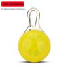 LED Pet Luminous Pendant - Flashing Dog Tag for Night Walks