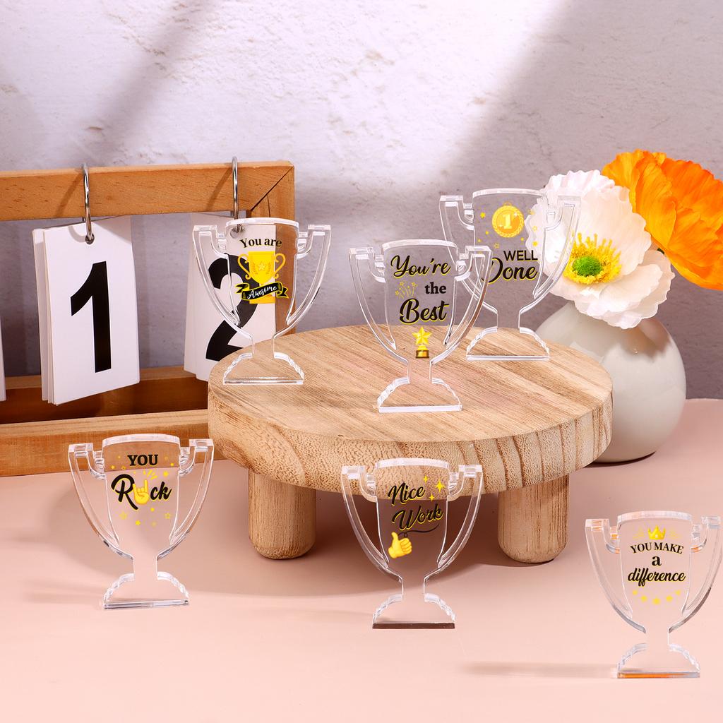 Piaopiaoniu 12 Pcs Appreciation Acrylic Trophy Awards Bulk Mini Employee Appreciation Gifts Small Thank You Plaque For Recogniti
