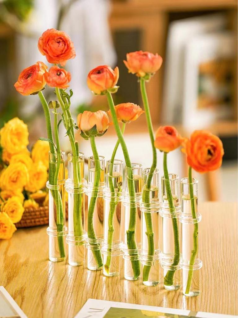 Glass Test Tube Vase – Creative Transparent Hydroponic Flower Stand for Balcony Ornaments