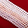 Natural Freshwater Intimate Circle Loose Pearl Beads Gemstone for DIY Necklace Bracelet Jewelry
