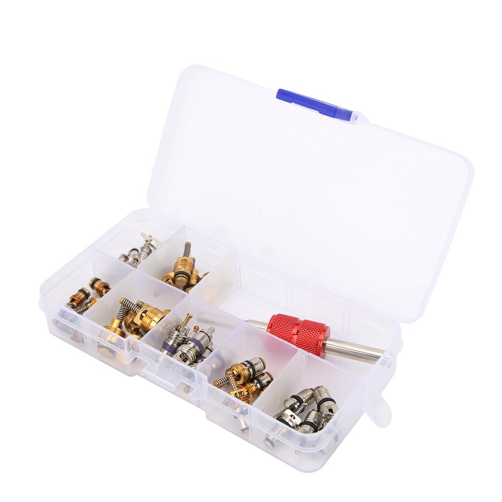 40PCS Car Air Conditioner Valve Core with Remover Tool 5101791AA   5189373AA Replacement for Chrysler