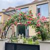 Zabudowania ogrodowe – Ogrodzenia, balustrady i bramy