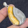Natural Bumble Bee Jasper 925 Sterling Silver Jewelry Pendant 2.25" V2H50