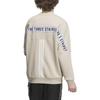 Adidas Sweatshirts Unisex Beige Crew Neck Moderate Other IK7328