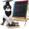 Pet Graduation Hat Birthday Parties Supply Hat Adjusting Belt Cat Bachelor Hat