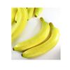 GuCra Banana Lifelike Food Sample Fruit Model AA (8 Count)