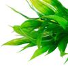 Fish Tank Decor Aquarium Decoration Aquarium Accessories Artificial Water Grass Simulation Plants