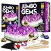 XXTOYS Edelstein Ausgrabungsset Spielzeug Kristallentdeckung Weihnachtsgeschenk Kristallabbau Erzprobe Amethyst 18-teiliges Set Kinder Geologie Geschenk