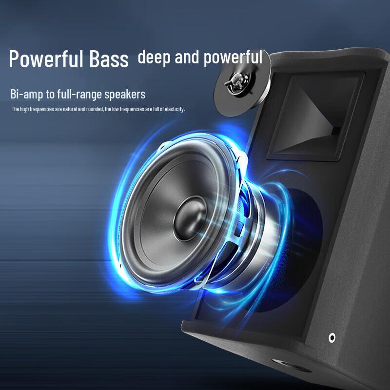 HUIDU Home KTV Audio System