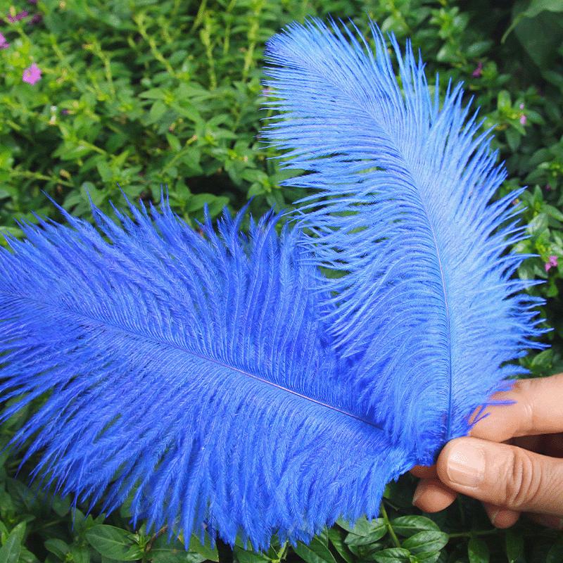 Large 15-20cm Ostrich Feathers for Wedding Arrangements and Stage Props