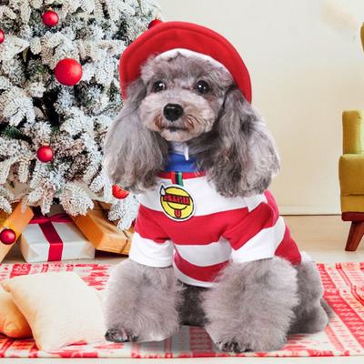 Ropa y calzado – Suéteres para perros