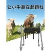 Reinforce  Calf Walker Calves Rehabilitation Trucks Calves Standing Equipmentcattle Farm Supplies