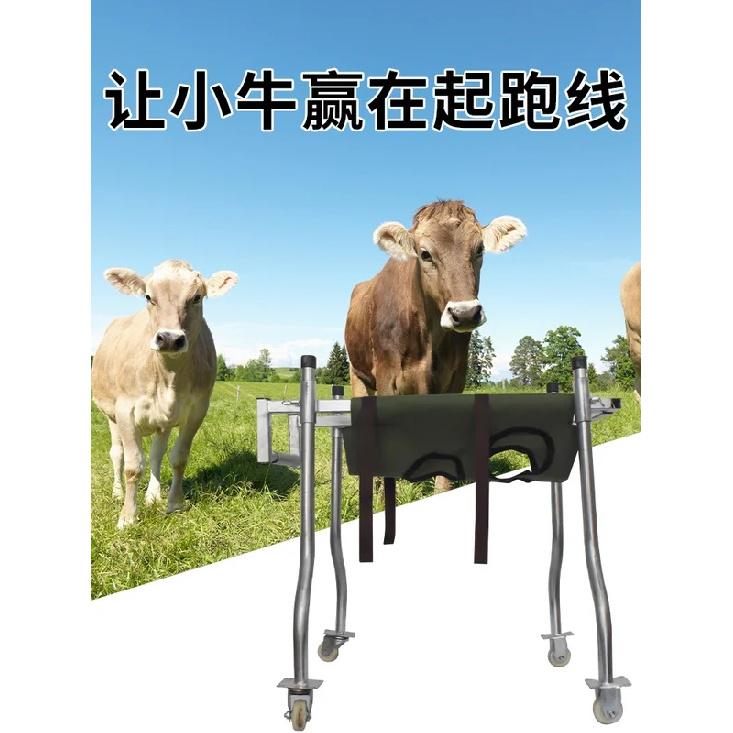 Reinforce Calf Walker Calves Rehabilitation Trucks Calves Standing Equipmentcattle Farm Supplies