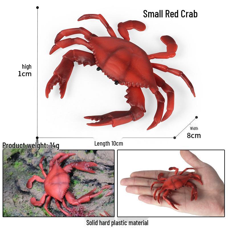 Children s Cognitive Toy: Hermit Crab Marine Animal Model Ornament